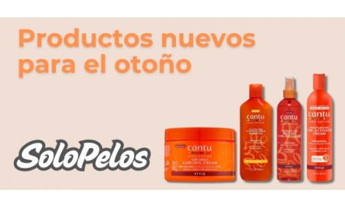 Imagen de noticia 1
