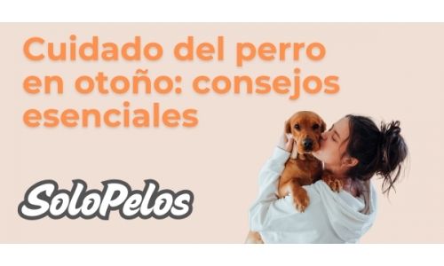 Imagen de noticia 6
