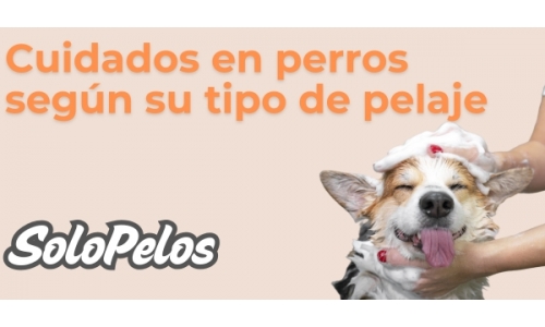 Imagen de noticia 2