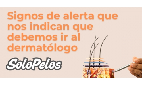 Imagen de noticia 2