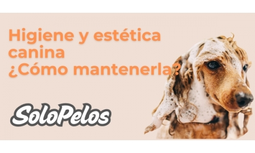Imagen de noticia 1