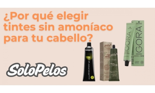 Imagen de noticia 6